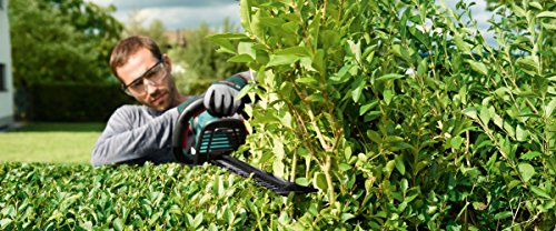 bosch-diy-akku-heckenschere-ahs-55-20-li-2.jpg